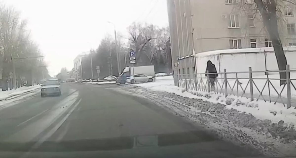 Выгул пса в Омске