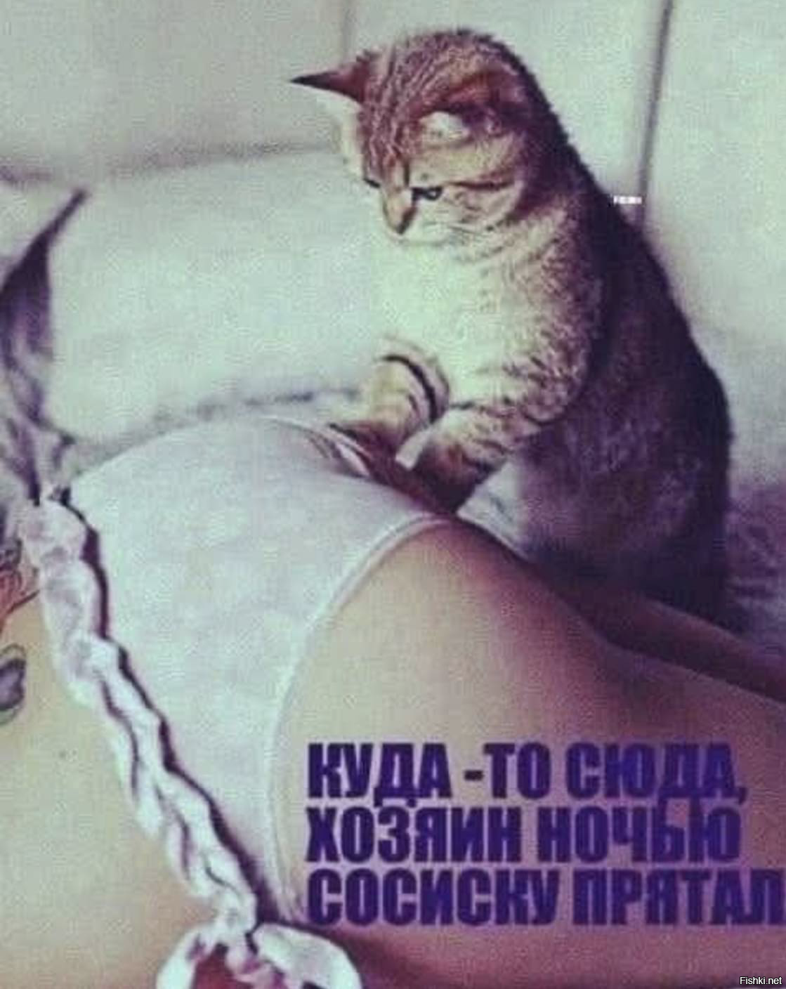 Солянка