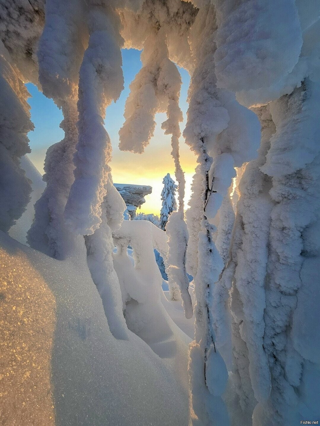 Солянка