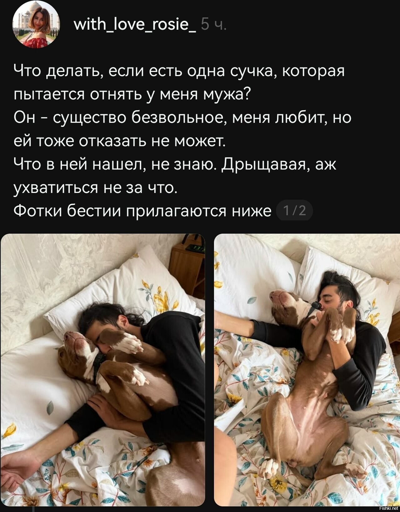 Солянка