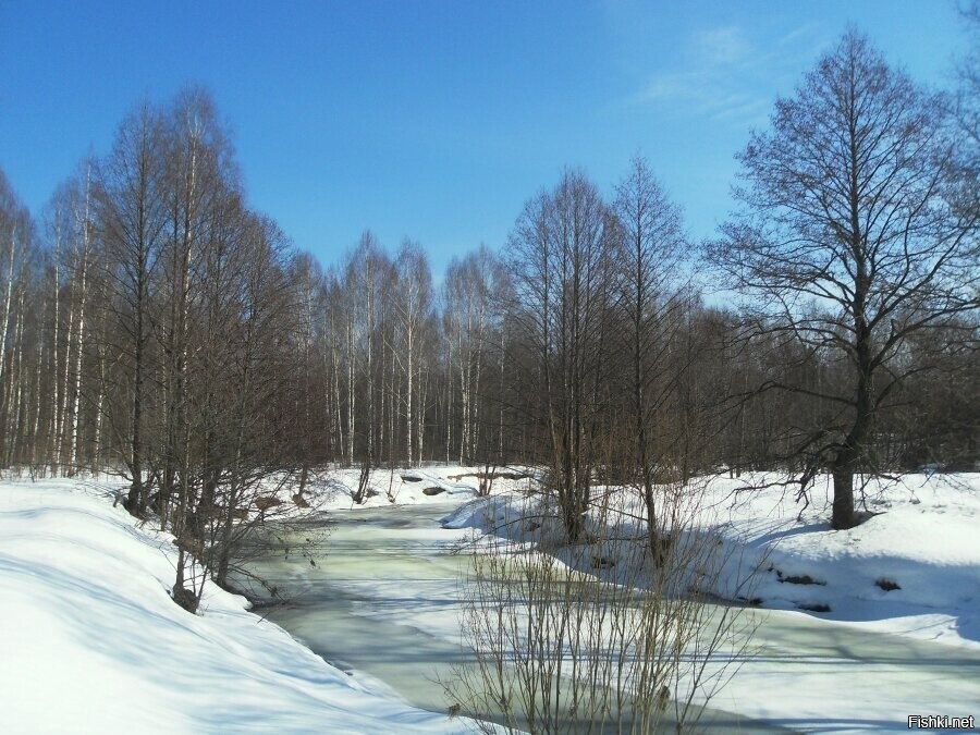 Доброгоутра