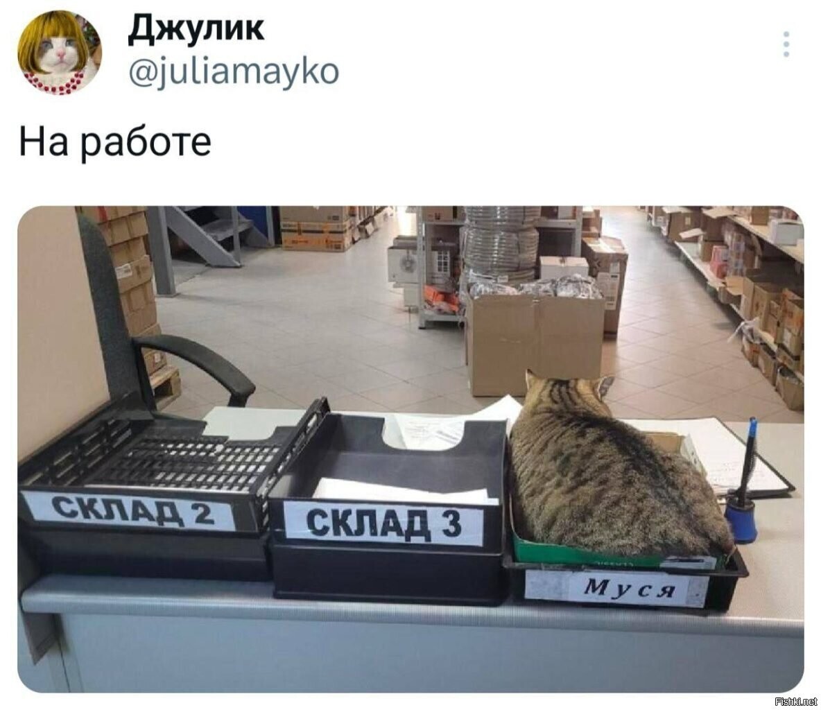 Солянка