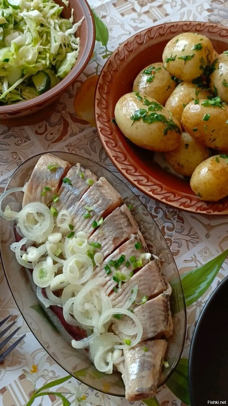 Солянка