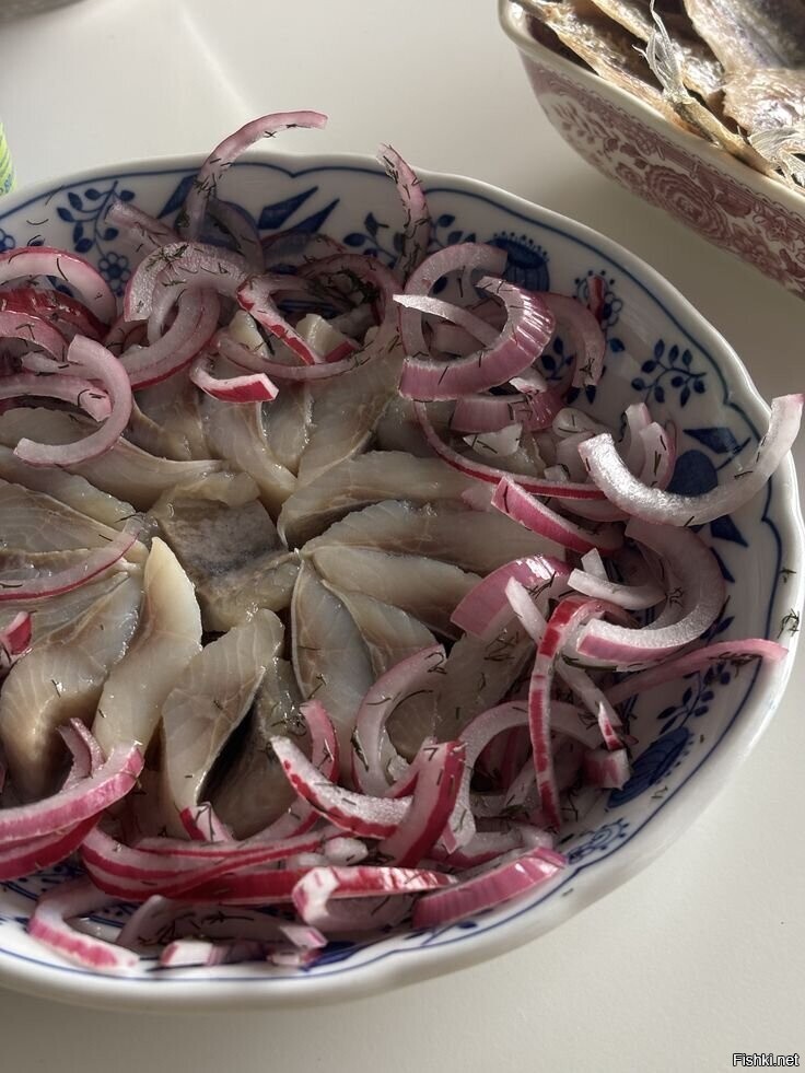Солянка