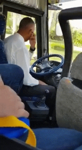 Нежный водитель