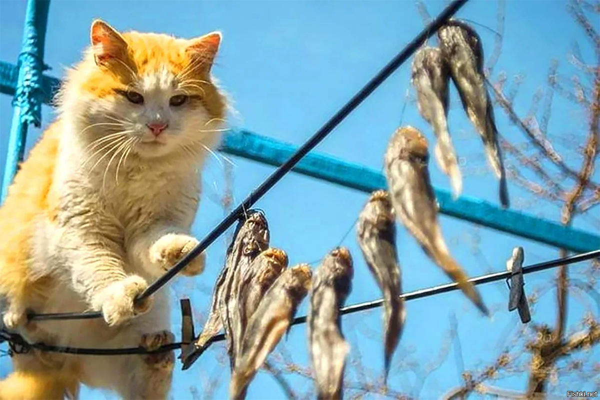 Всем добрейшего
