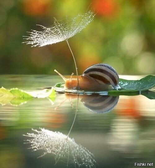 Женщина с зонтиком