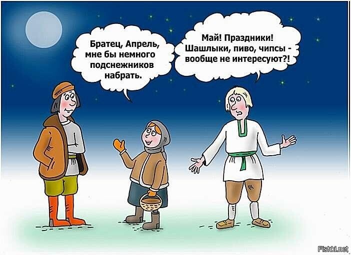 Солянка