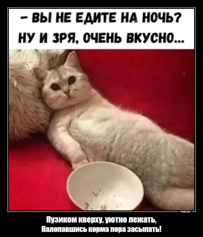 Пузиком кверху, уютно лежать