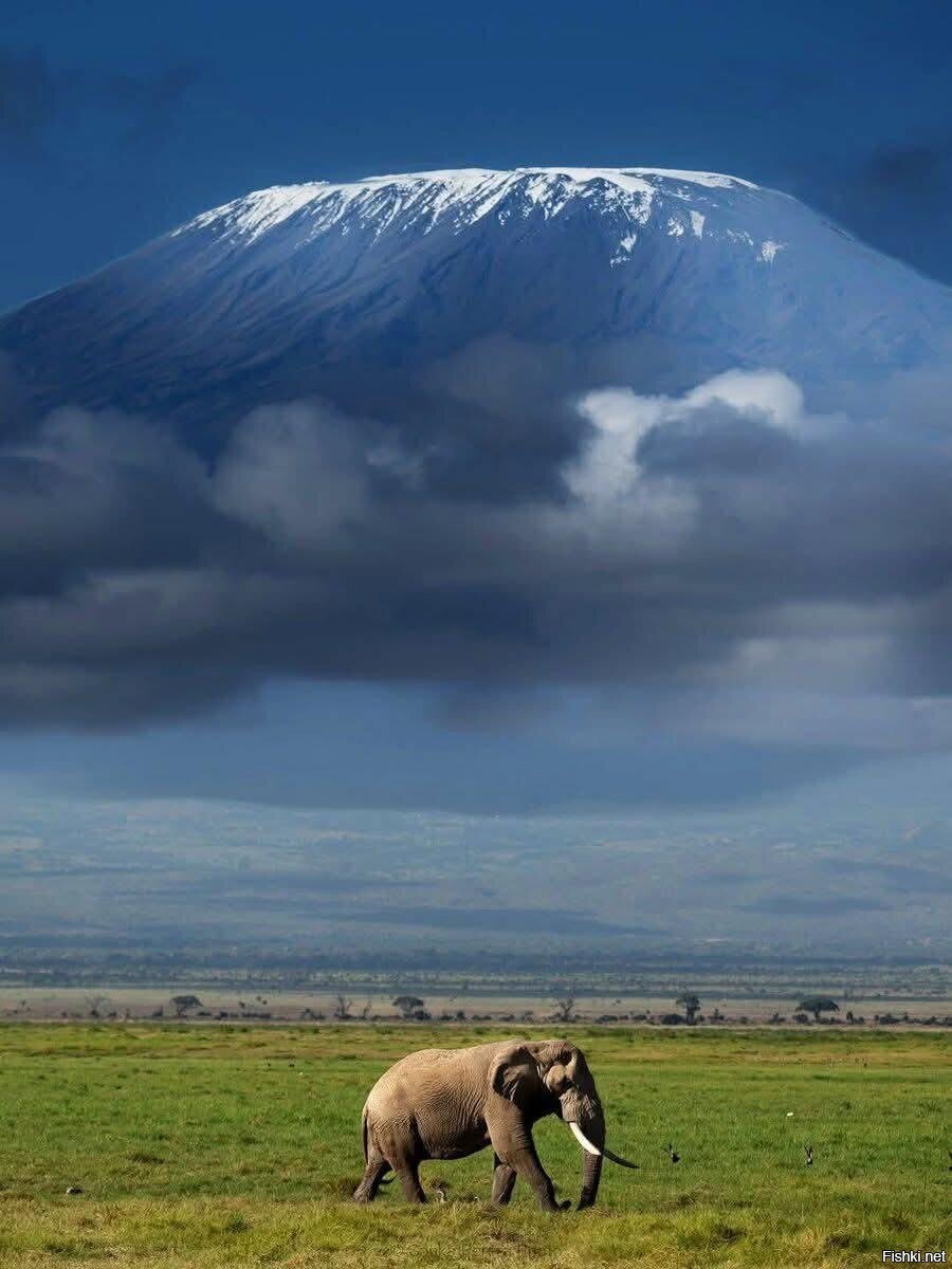Килиманджаро