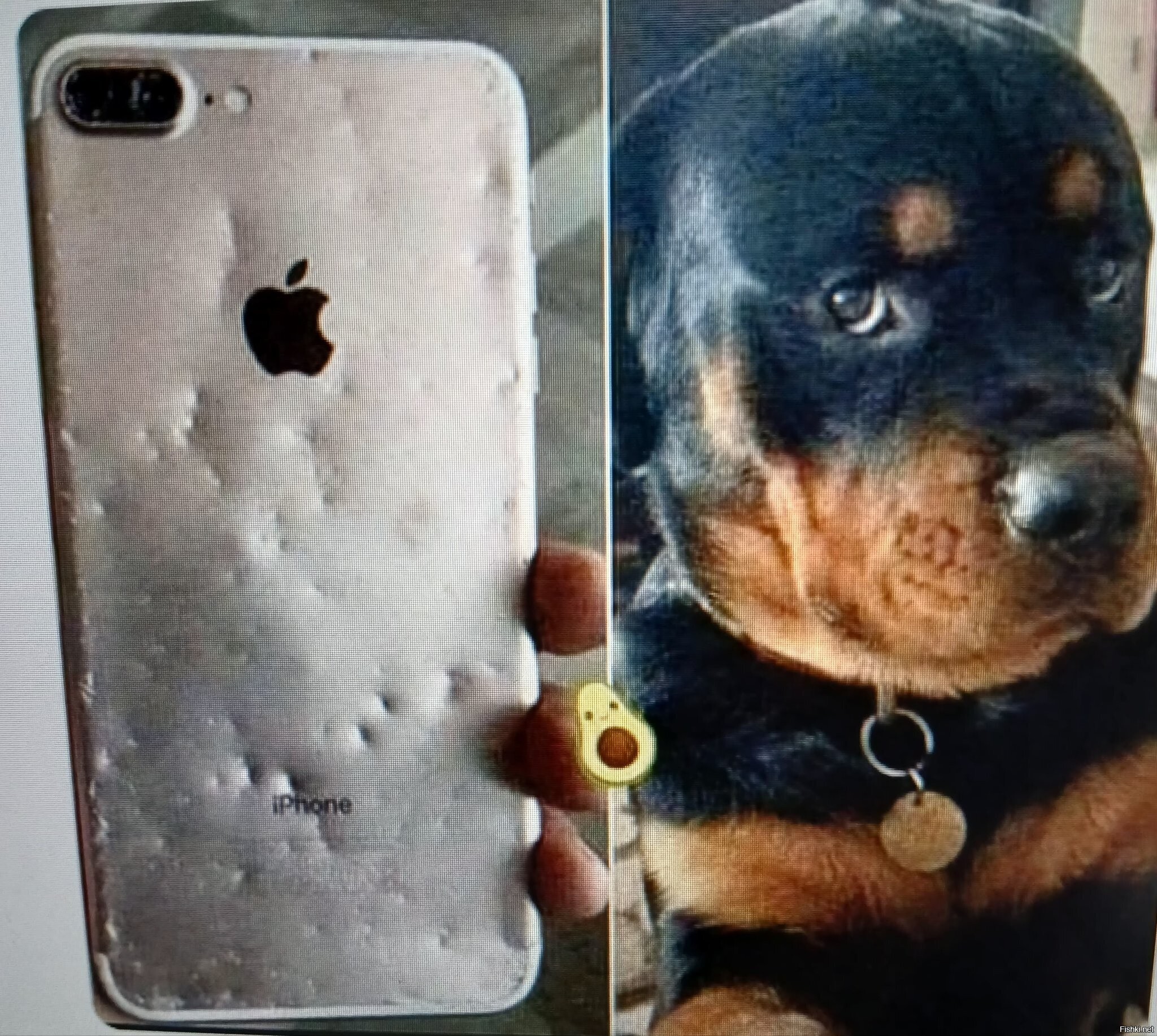 Солянка