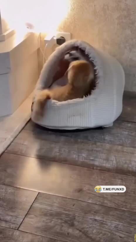 Рэкет