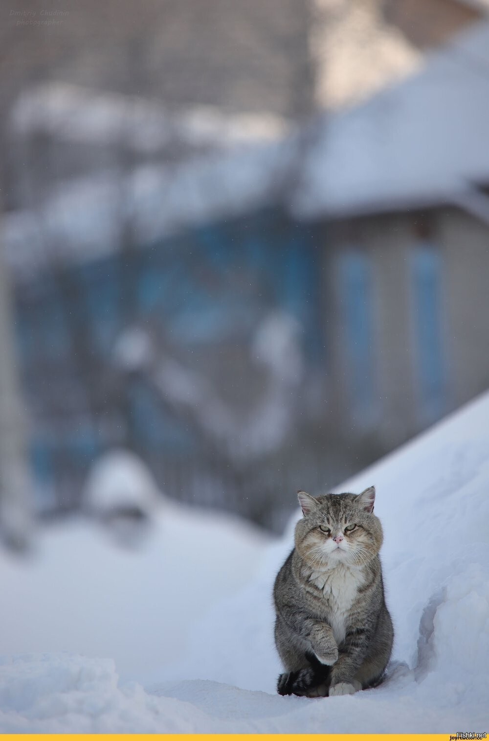 Солянка