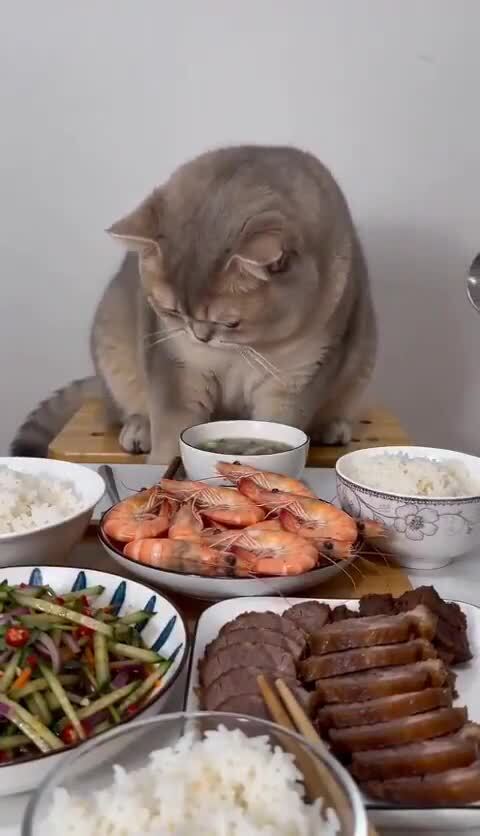 С пятницей всех