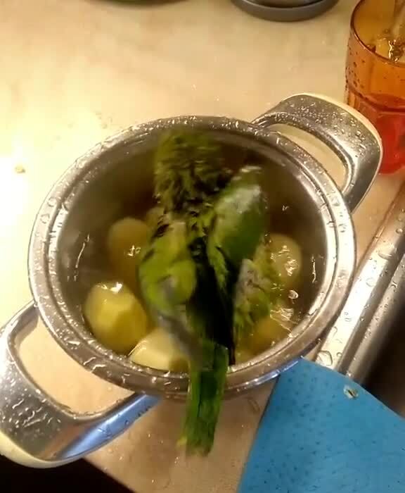 Солянка