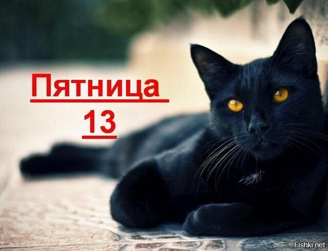Ну, с праздником