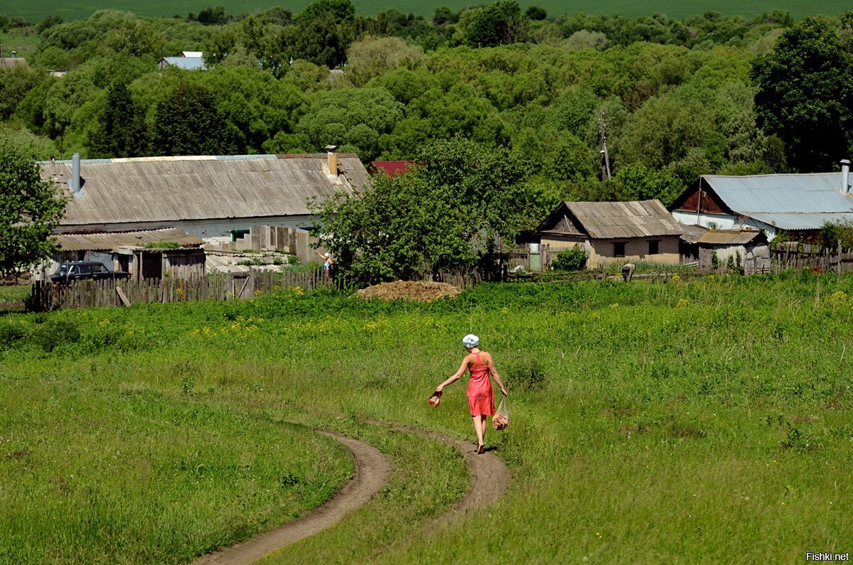 Солянка