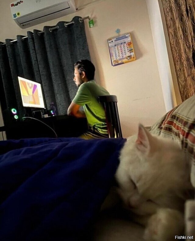 Солянка