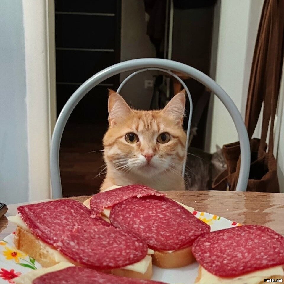 Доброе утро