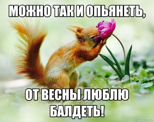 Встреча весны!