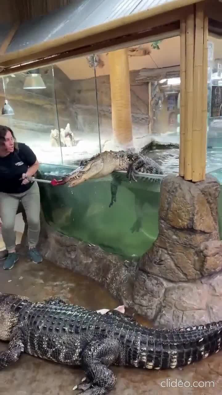Трудовые будни )))