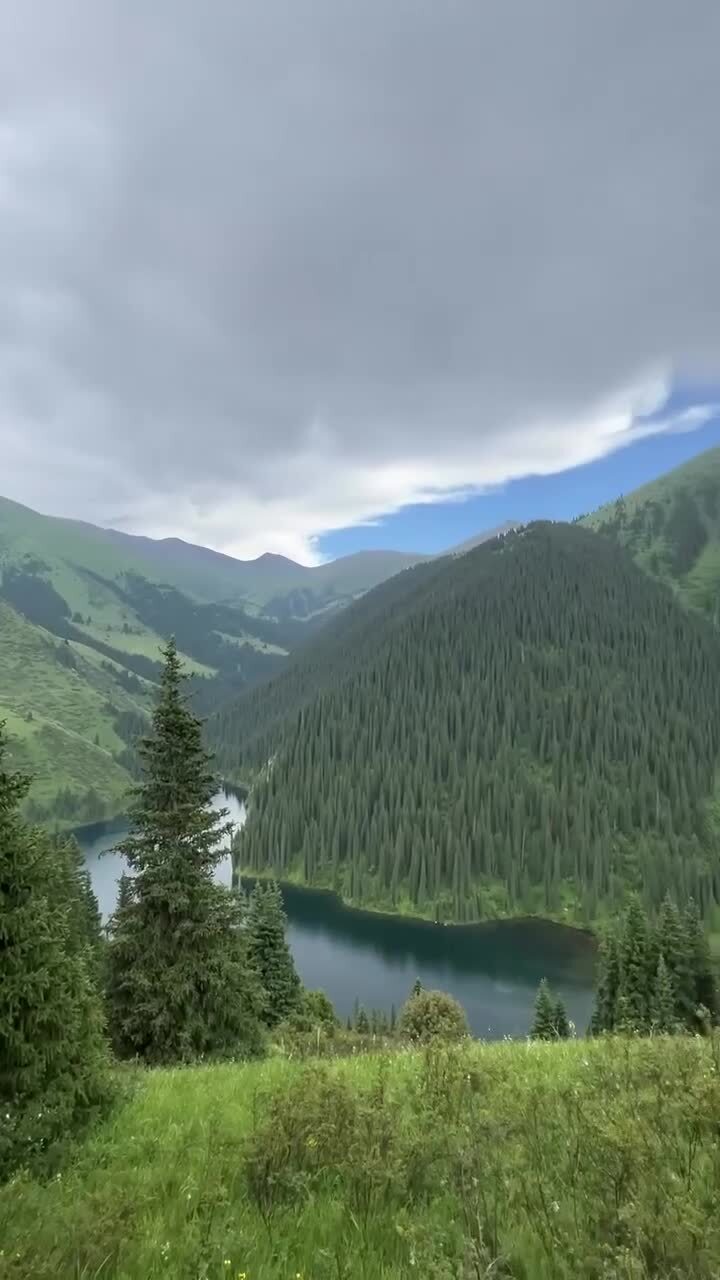 Солянка