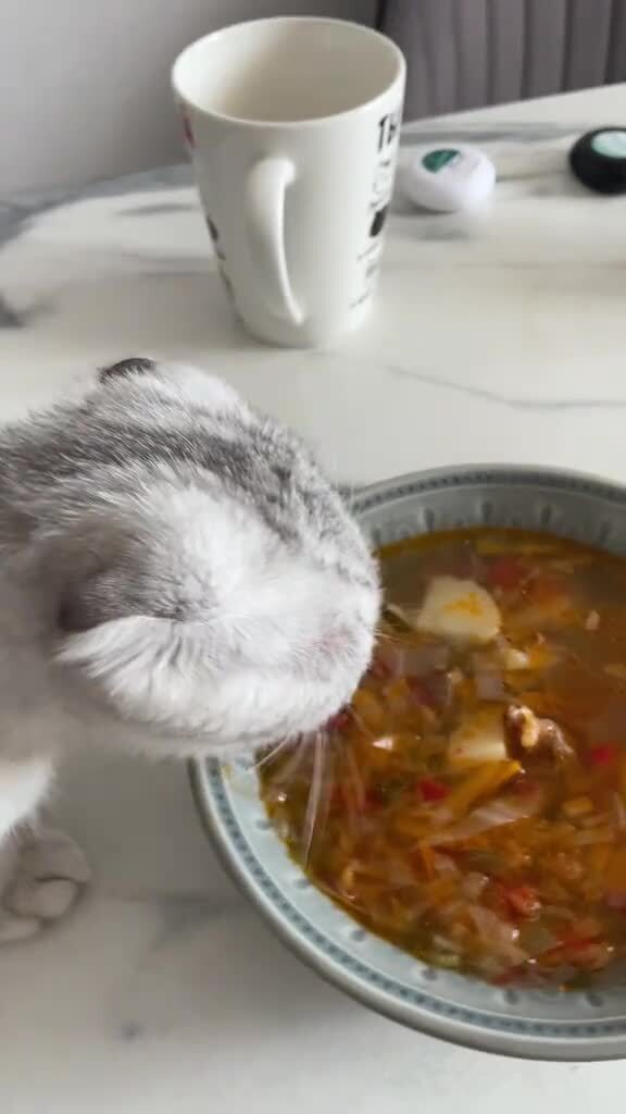 Солянка
