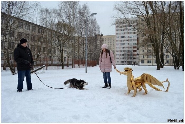 Солянка