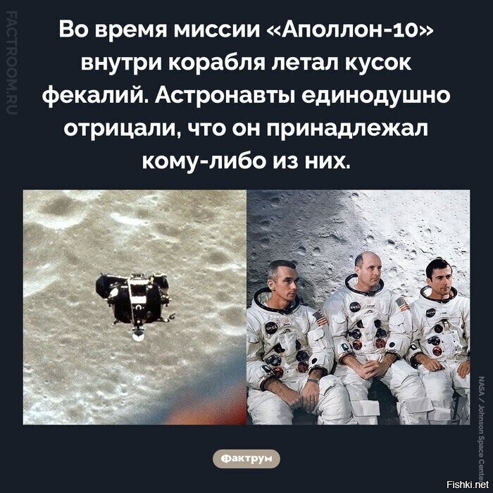 Весёлые истории