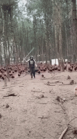 Солянка