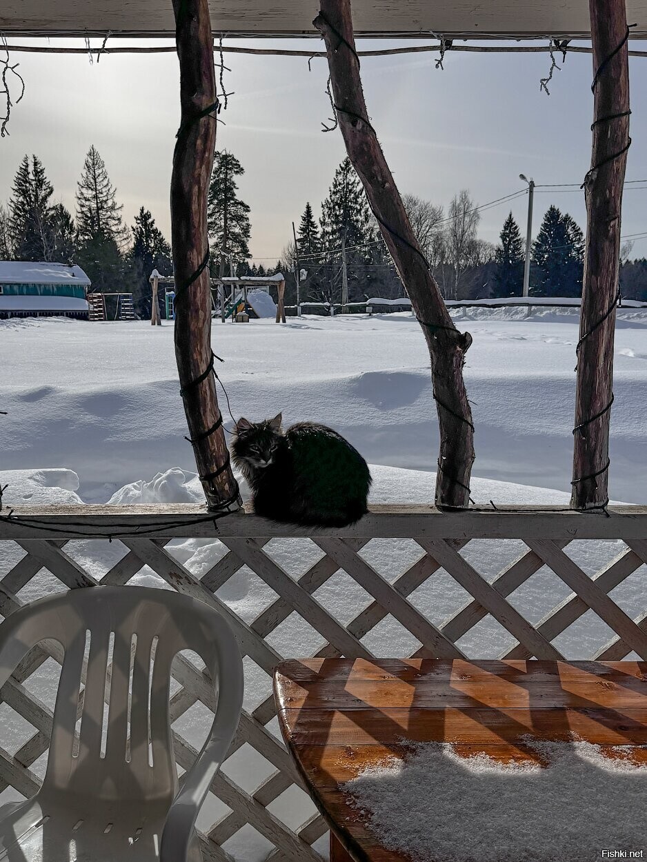 Солянка