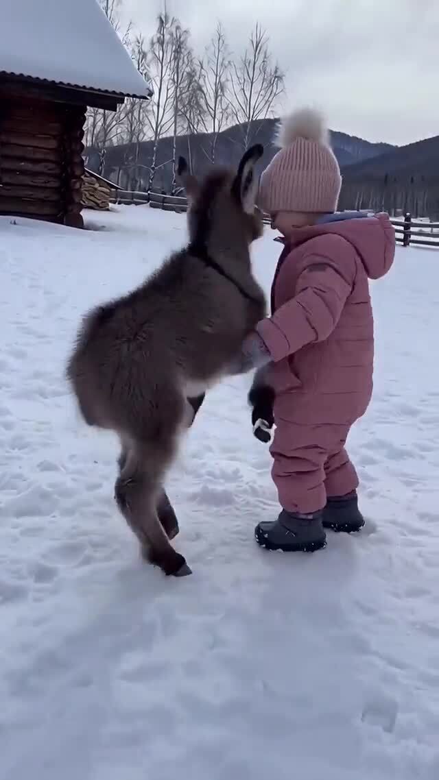 Все они дети 