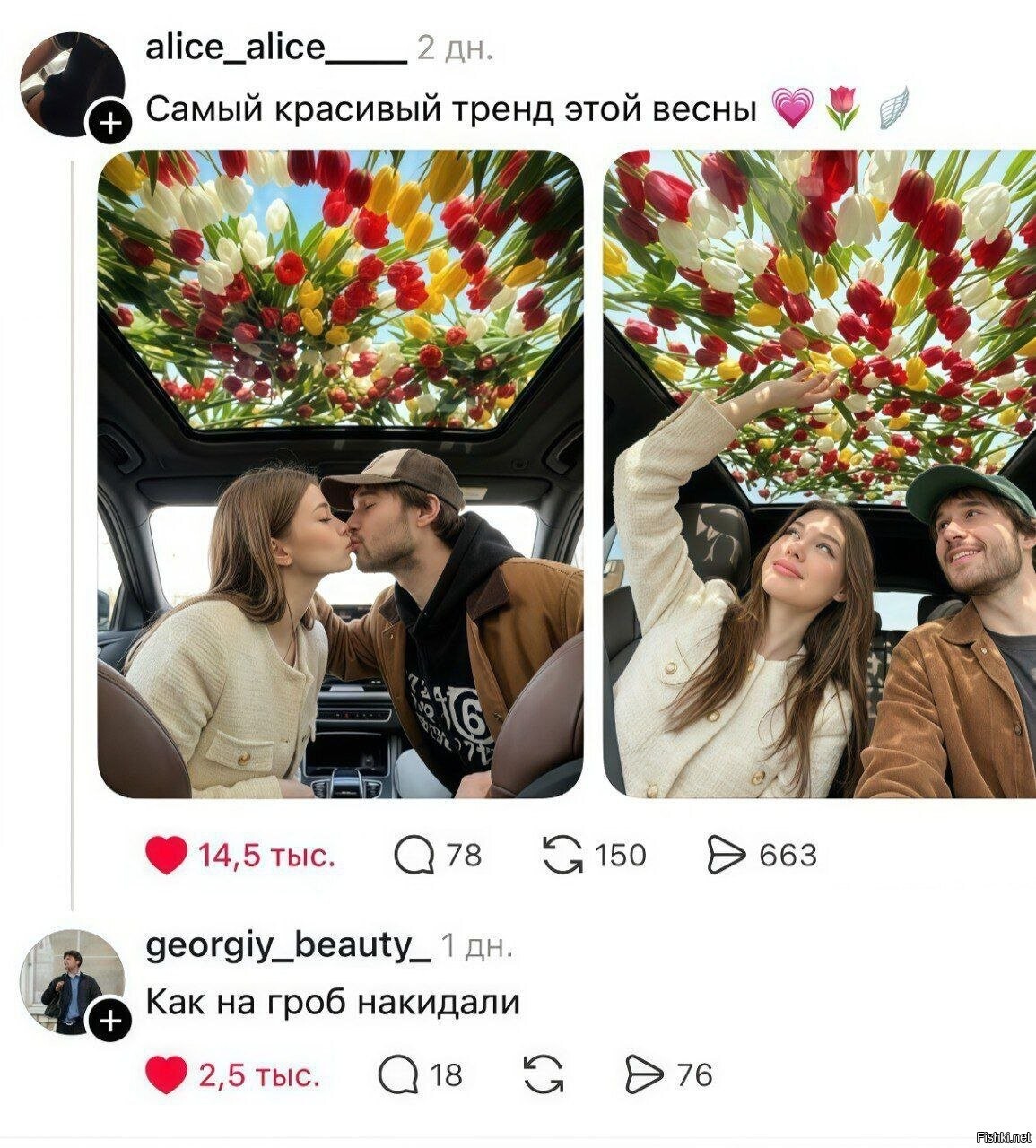 Солянка