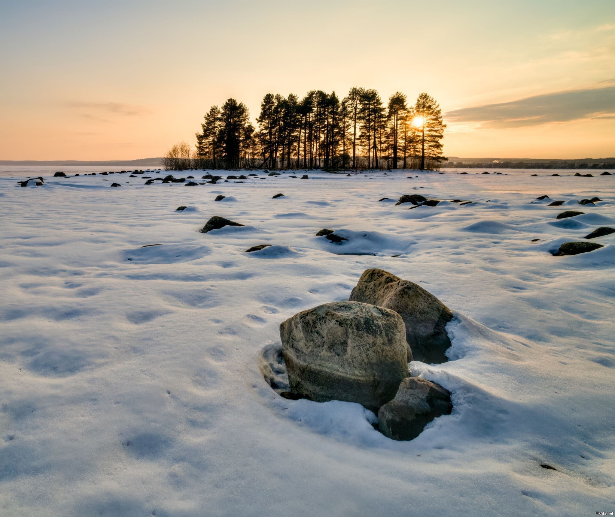 Солянка