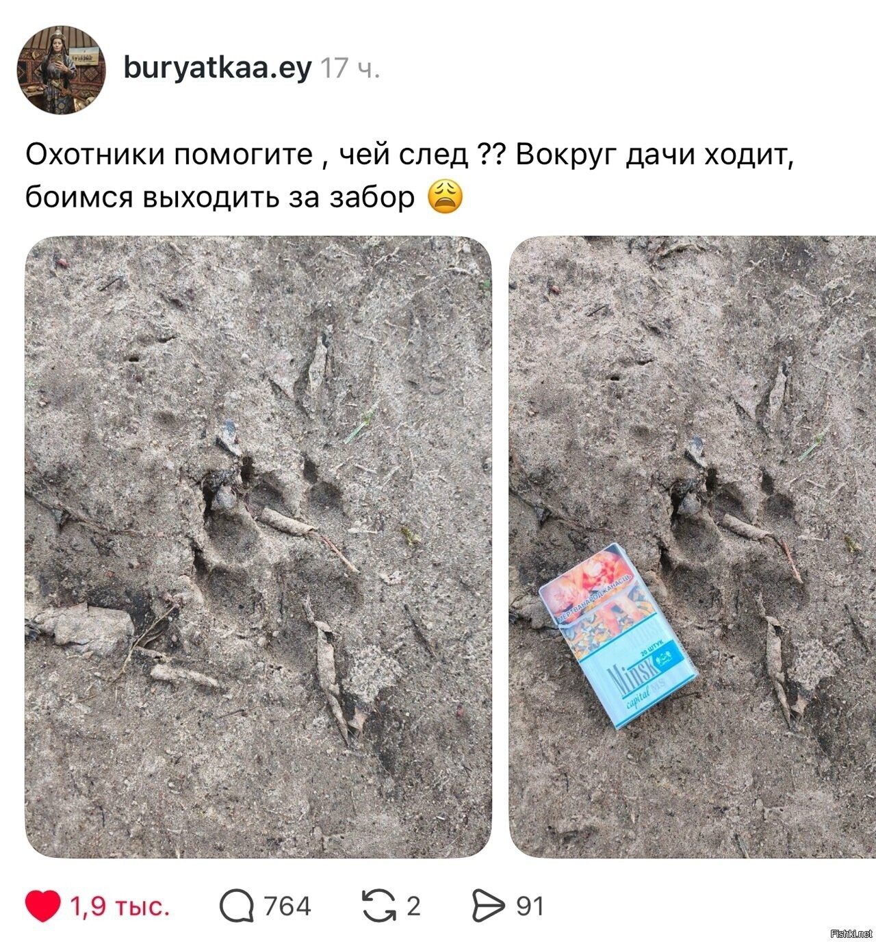 Солянка