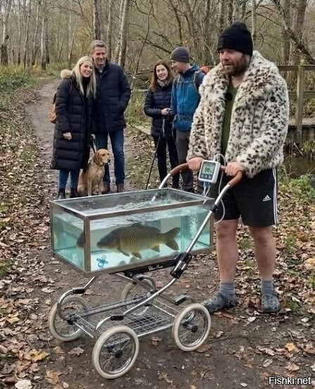 Выгуливает )))