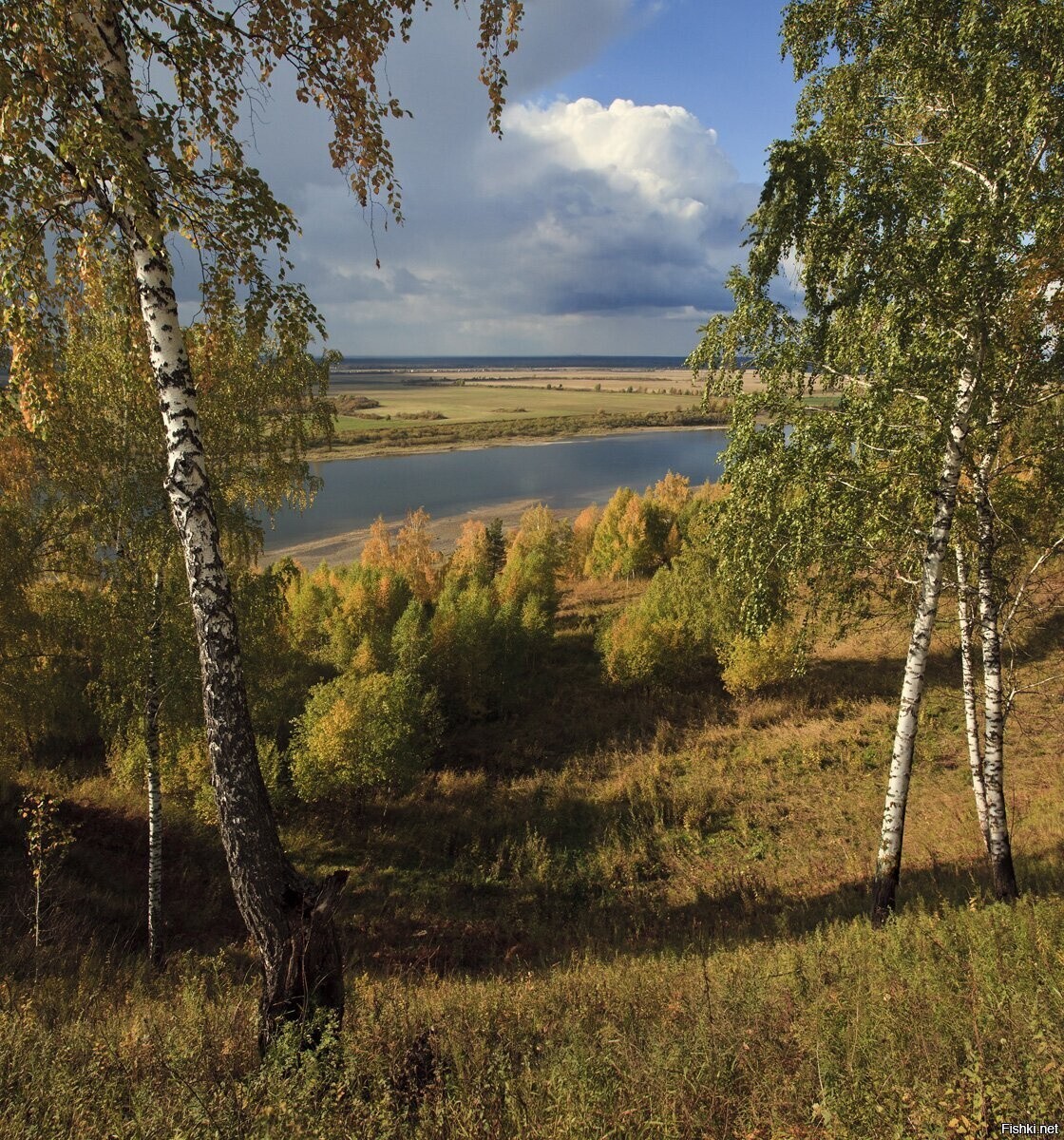 Солянка