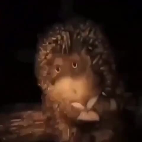 Аж до слезы