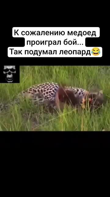 Не сдаваться