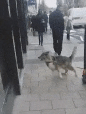 - Я тоже хочу бургер