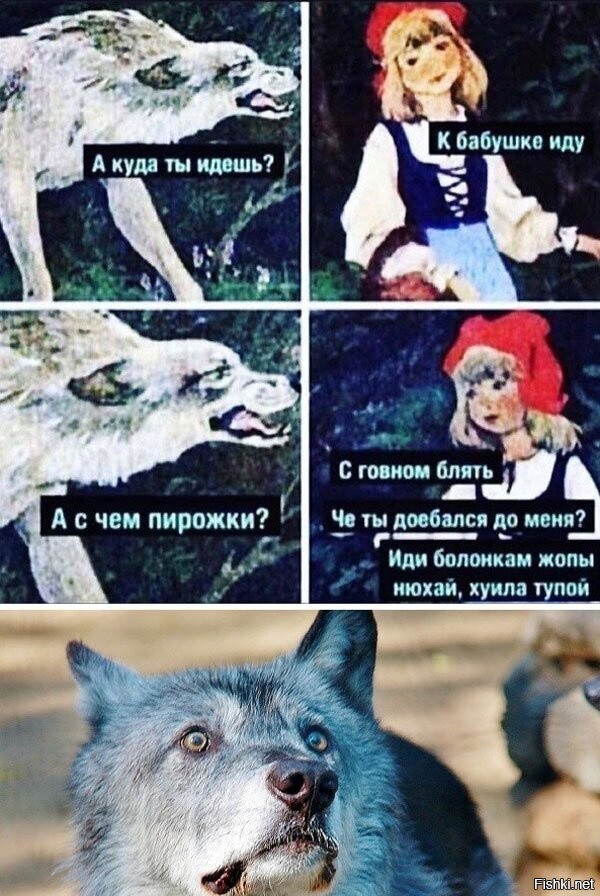 Солянка