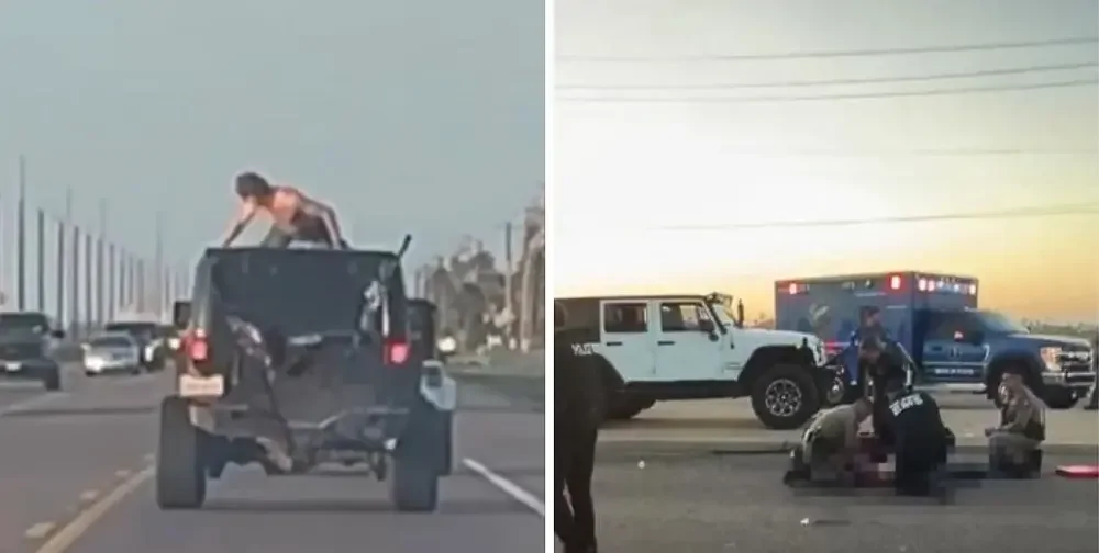 Тупиковая ветвь эволюции