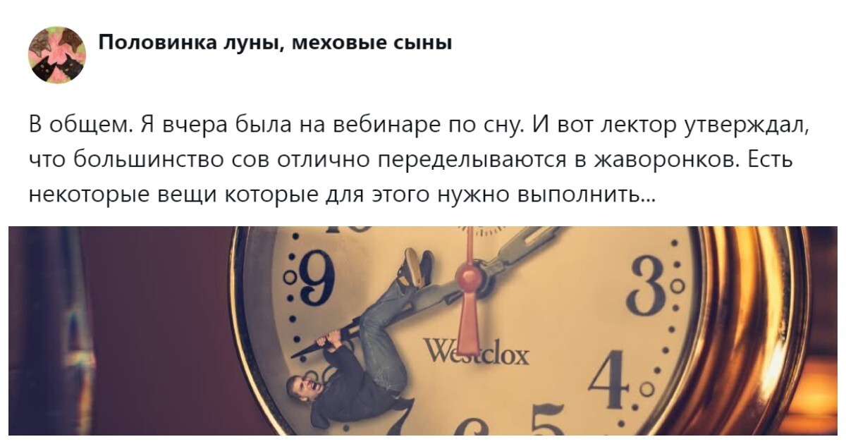 «Давайте переделаем жаворонков под сов!»: пользователи пытаются понять, можно (и нужно) ли изменить свой хронотип за две недели