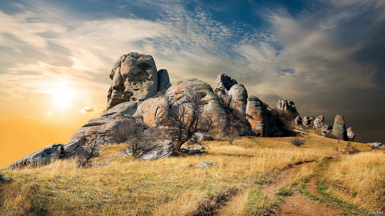 Солянка