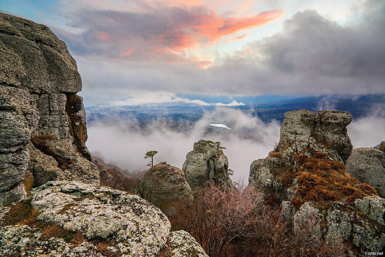 Солянка