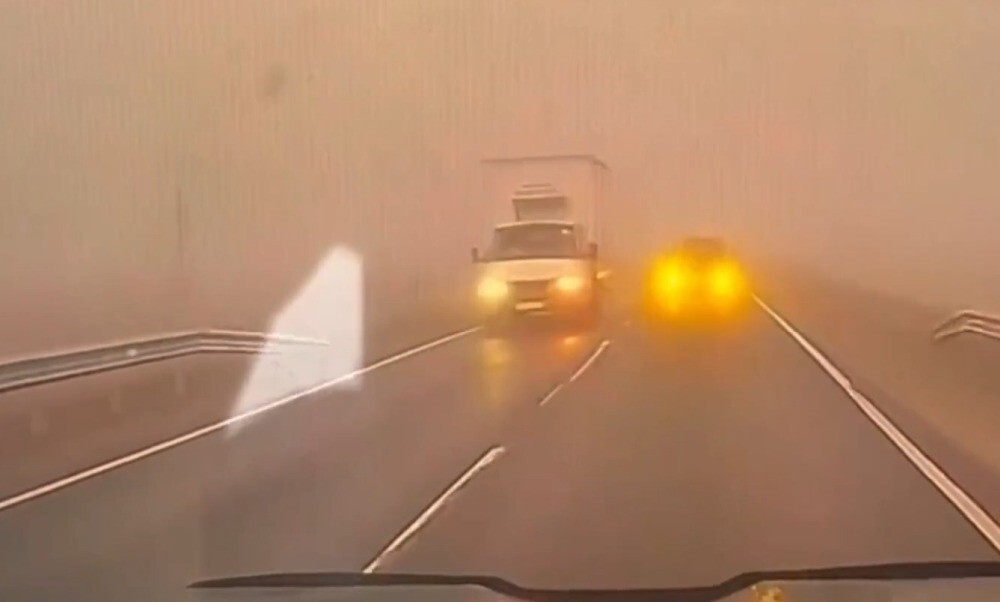 Месиво в тумане