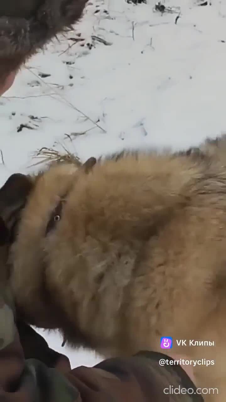 Бежит прощаться