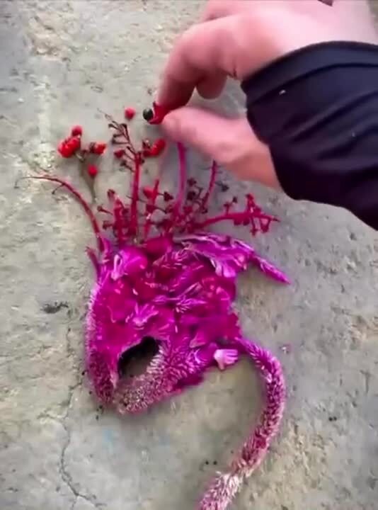 Солянка