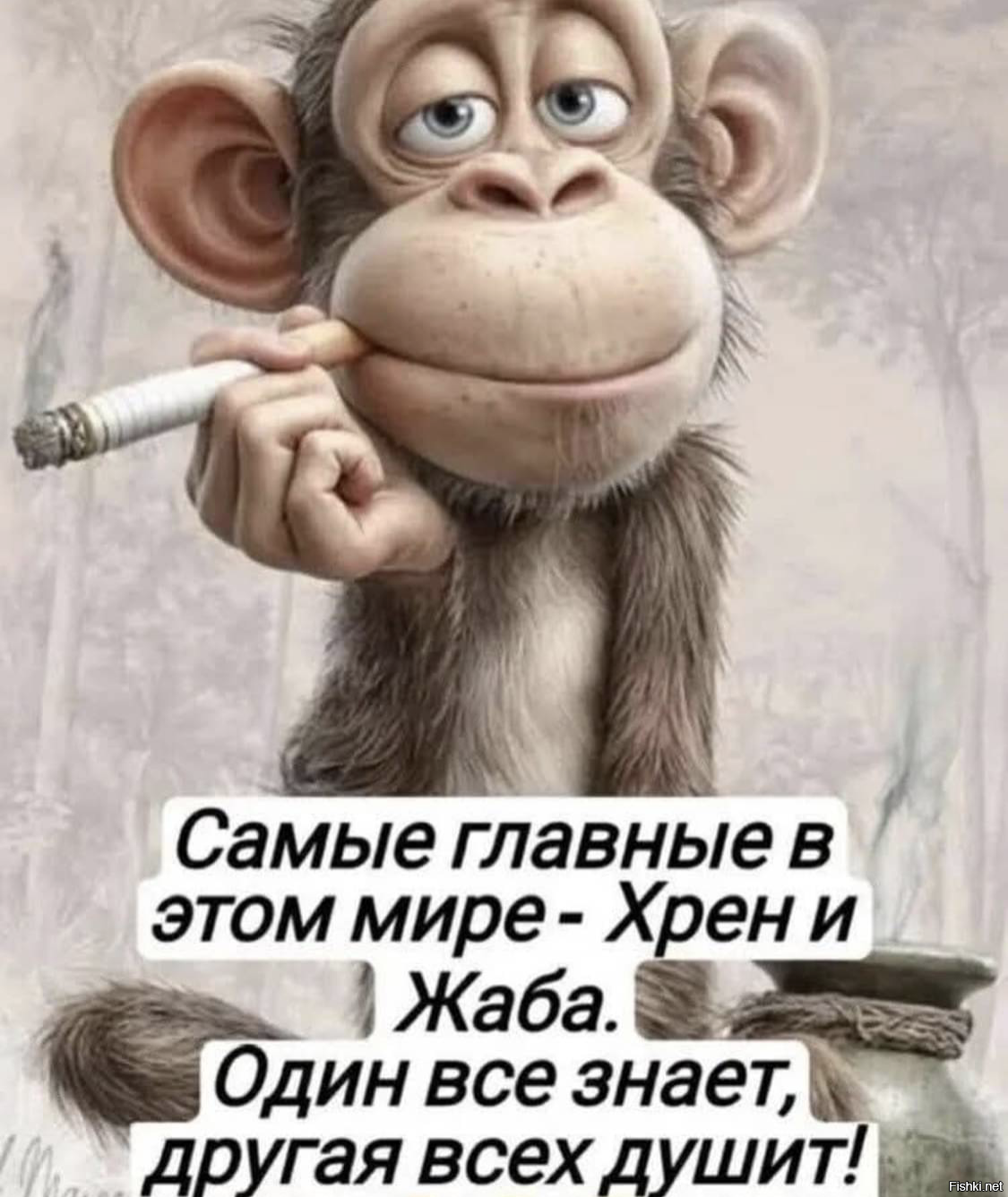 Солянка