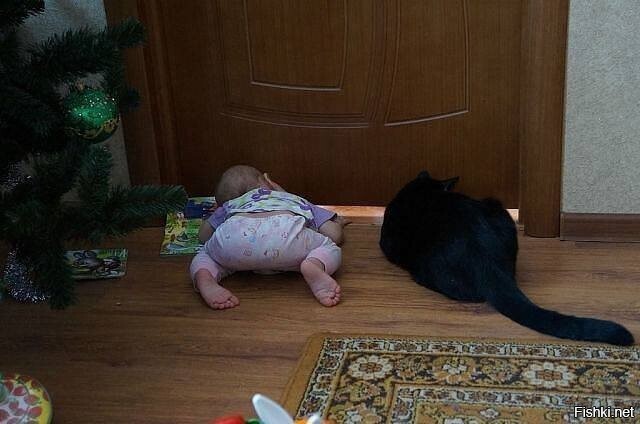 Домашние шпионы
